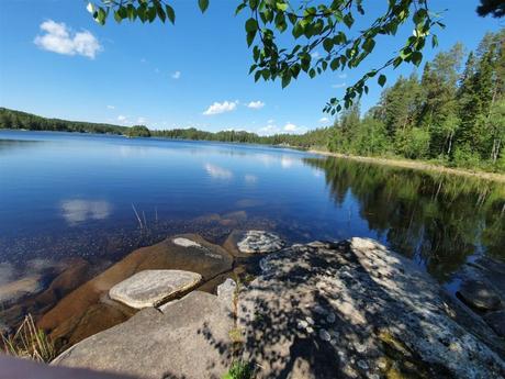 delikatissen verano sueco verano nórdico swedish summer house swedish summer scandinavian summer house relaxed Swedish Summer red scandinavian cabin pequeña cabaña en el bosque decoración cabaña rústica nórdica cottage by the lake casa de verano escandinava cabaña roja de madera cabaña sueca  