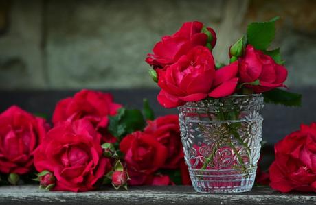 Las rosas rojas, ¿por qué simbolizan el amor? 4