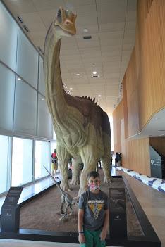 El Museo de paleontología de Castilla la Mancha (MUPA)