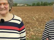 Banco Tierras Consejo Comarcal seleccionado como modelo gestión territorio recuperación potencial agrícola