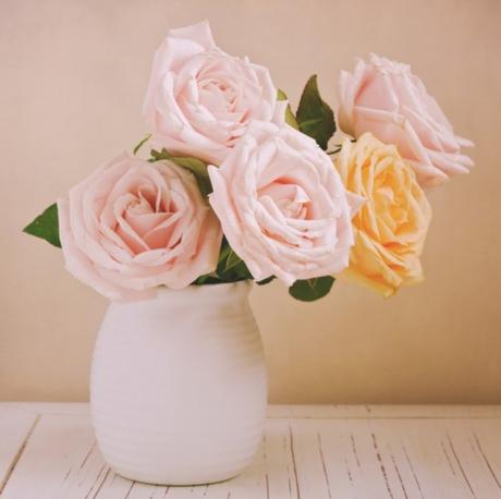 ¿Por qué regalar flores rosas? ¿Por qué regalar flores rosas?