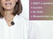 Gipuzkoa informa sobre cómo evitar picaduras insectos aporta pautas para elegir repelentes