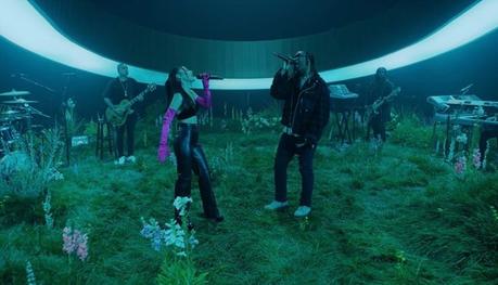 Actuación de 'safety net'