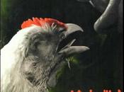 Coronavirus Sanfermines