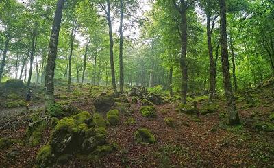 Pico Yordas desde Liegos