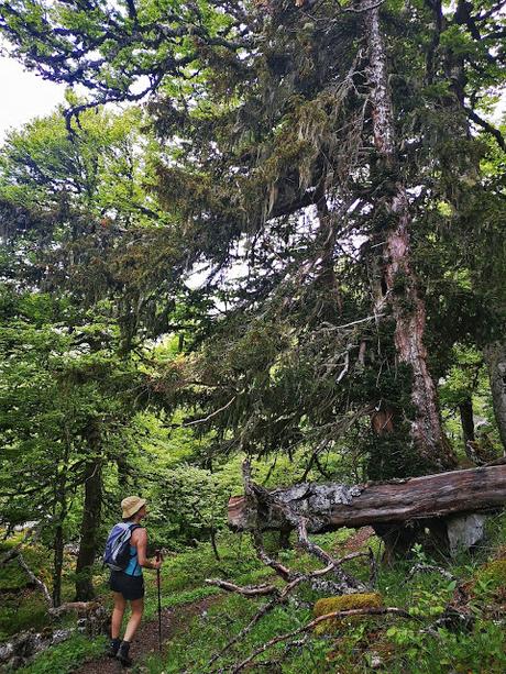 Pico Yordas desde Liegos
