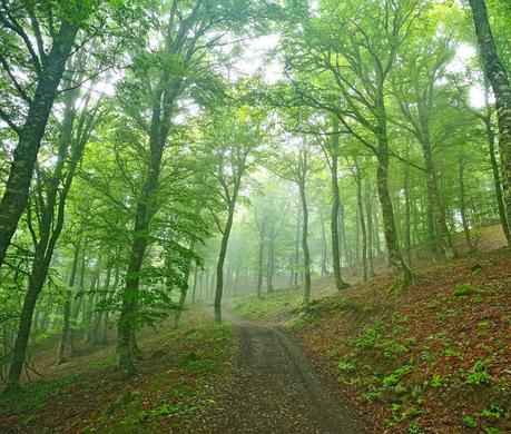 Pico Yordas desde Liegos