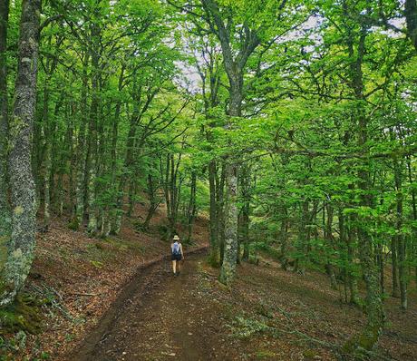 Pico Yordas desde Liegos