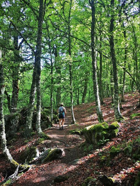 Pico Yordas desde Liegos