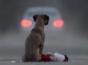 abandones