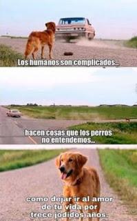 No lo abandones