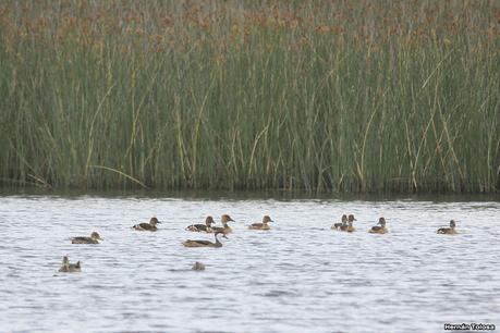 Balneario San Cayetano