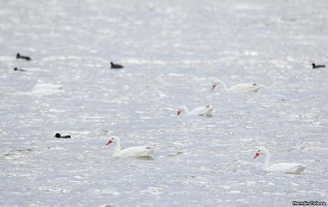Balneario San Cayetano