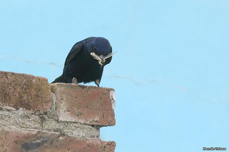 Balneario San Cayetano