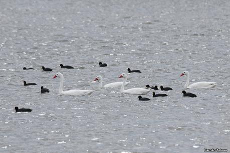 Balneario San Cayetano