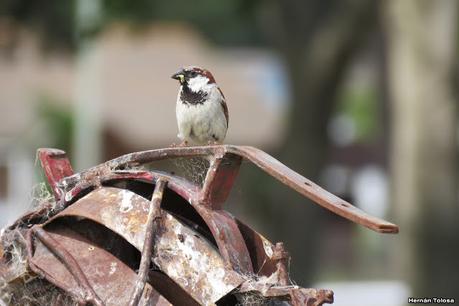 Balneario San Cayetano
