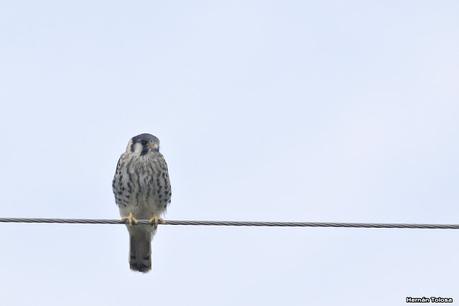 Balneario San Cayetano