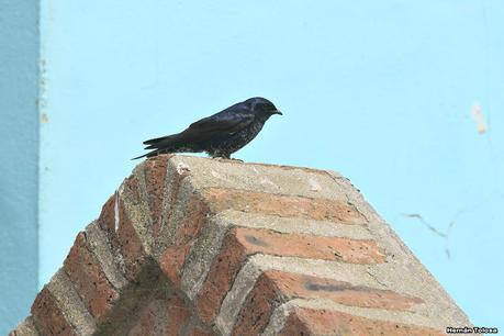 Balneario San Cayetano