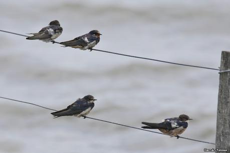 Balneario San Cayetano