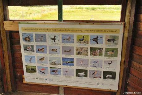 Balneario San Cayetano