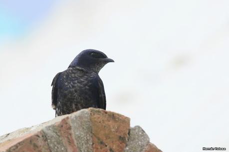Balneario San Cayetano