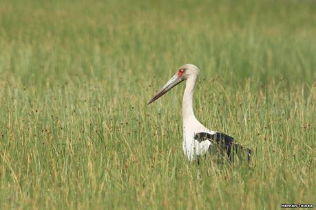 Balneario San Cayetano