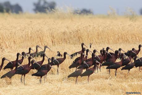 Balneario San Cayetano
