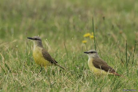 Balneario San Cayetano