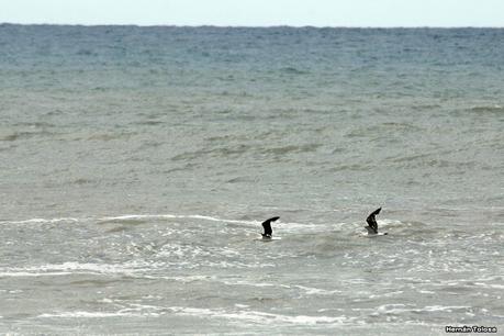 Balneario San Cayetano