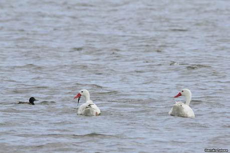 Balneario San Cayetano