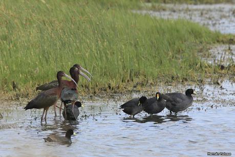 Balneario San Cayetano