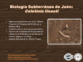 Biología Subterránea de Jaén (VI)