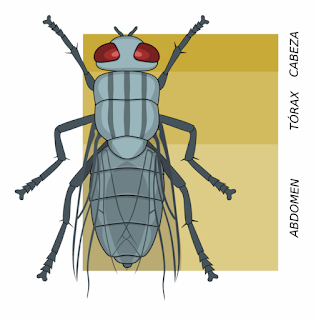 Tablas para generar Artrópodos (Por Skerples)