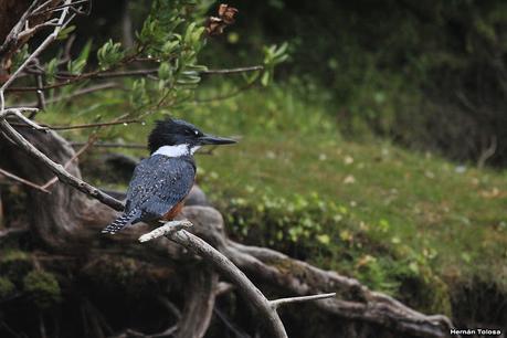 Yuco (abril de 2021)