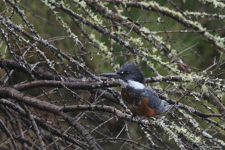 Yuco (abril de 2021)