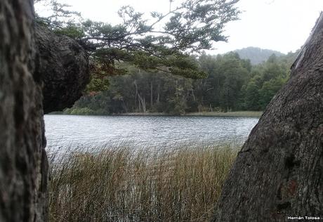 Yuco (abril de 2021)