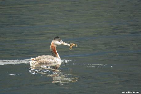 Yuco (abril de 2021)