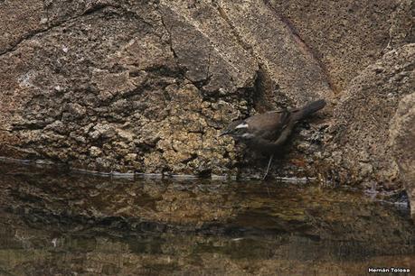 Yuco (abril de 2021)