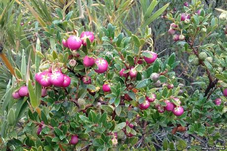 Yuco (abril de 2021)