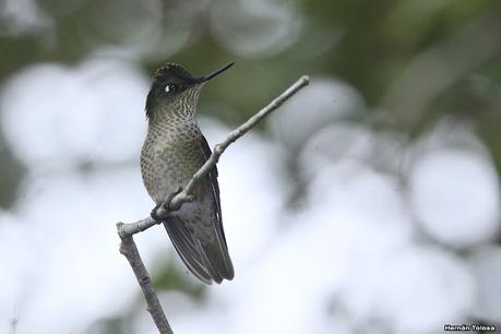 Yuco (abril de 2021)