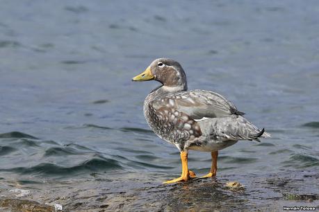 Yuco (abril de 2021)