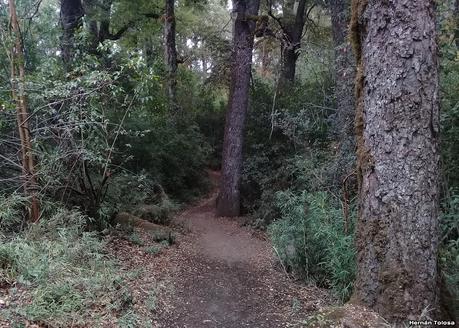 Yuco (abril de 2021)