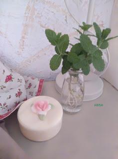 LAS PLANTAS...........