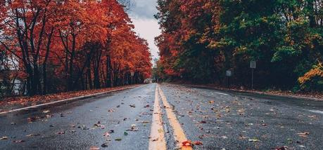 Un tranvía llamado deseo | Testamento Un tranvía llamado deseo | Testamento