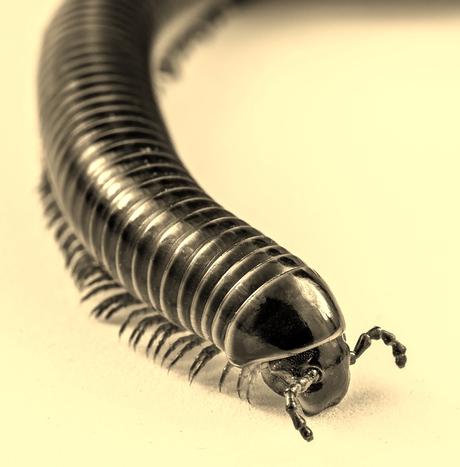 Atención a las puertas y ventanas rotas