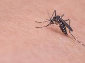 Como aliviar picaduras insectos