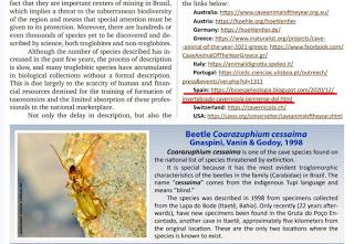 El G.E.V. en el Boletín de la Unión Internacional de Espeleología