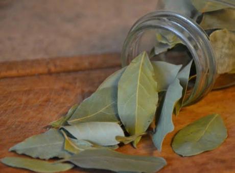 para que sirve el laurel