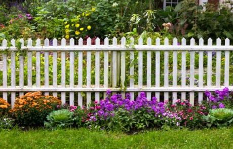 como alejar los perros del jardín como alejar los perros del jardín