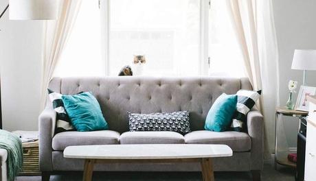 - Ambientes Frescos. - Ambientes Frescos.